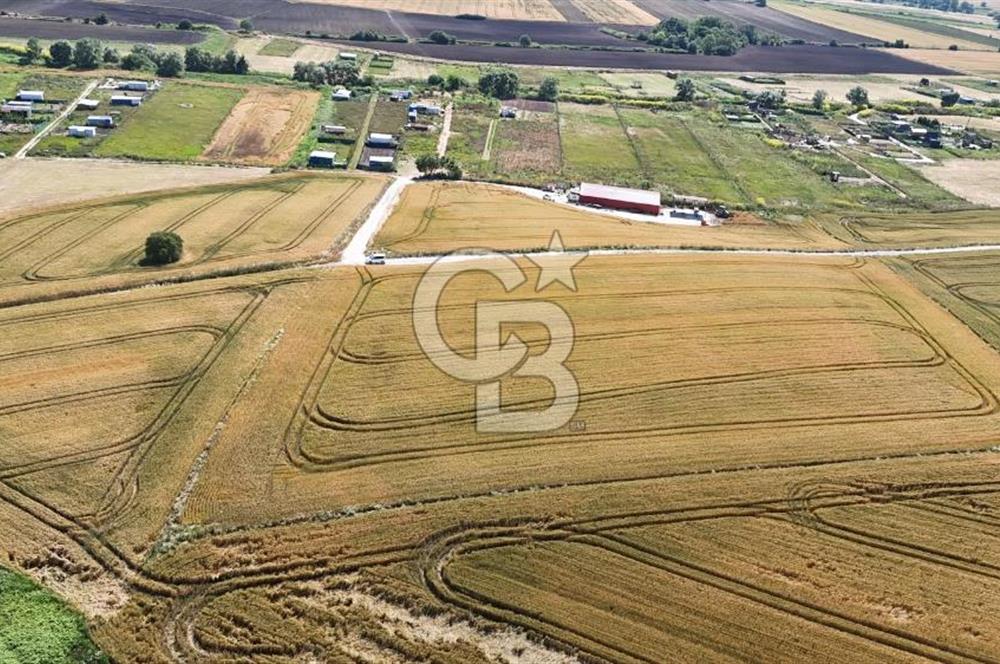 ÇATALCA KESTANELİK'TE 8.467 M² SATILIK TARLA