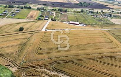 ÇATALCA KESTANELİK'TE 8.467 M² SATILIK TARLA