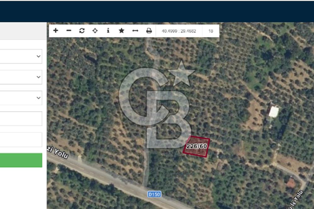 BURSA ORHANGAZİ KERAMET DE SATILIK 448 M2 ZEYTİNLİK