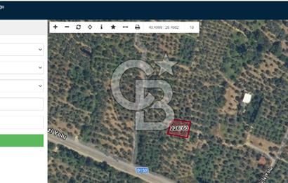 BURSA ORHANGAZİ KERAMET DE SATILIK 448 M2 ZEYTİNLİK