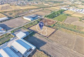 CB KİNG'DEN GÜMÜŞÇEŞME MAHALLESİ 7783 m² SATILIK TARLA - 11 - 352385