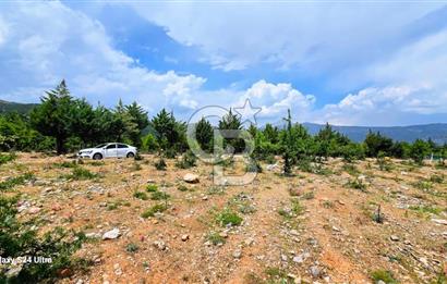 Serinhisar Şaireşref de 515 M² 2 Kat %40 İmarlı Satılık Arsa