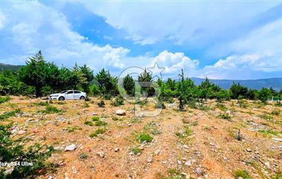 Serinhisar Şaireşref de 515 M² 2 Kat %40 İmarlı Satılık Arsa
