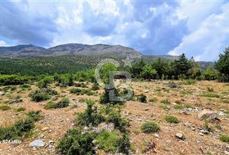 Serinhisar Şaireşref de 548 M² 2 Kat %40 İmarlı Satılık Arsa - 3 - 352345