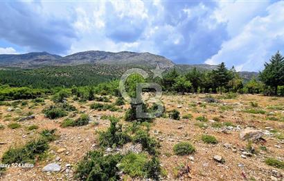 Serinhisar Şaireşref de 548 M² 2 Kat %40 İmarlı Satılık Arsa
