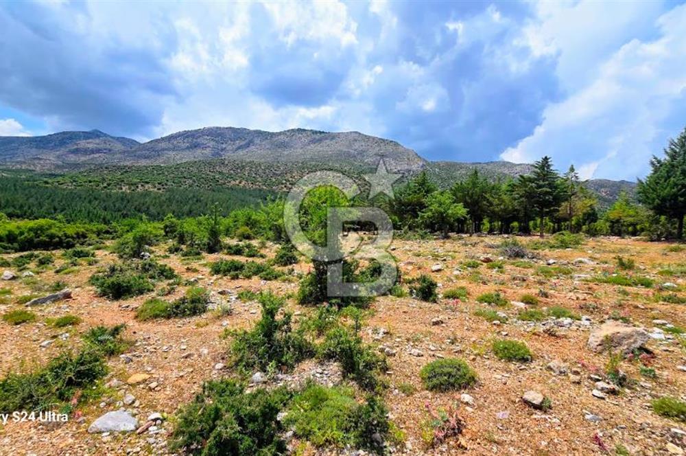 Serinhisar Şaireşref de 548 M² 2 Kat %40 İmarlı Satılık Arsa