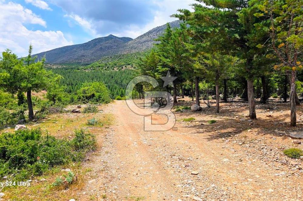 Serinhisar Şaireşref de 548 M² 2 Kat %40 İmarlı Satılık Arsa