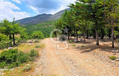 Serinhisar Şaireşref de 548 M² 2 Kat %40 İmarlı Satılık Arsa