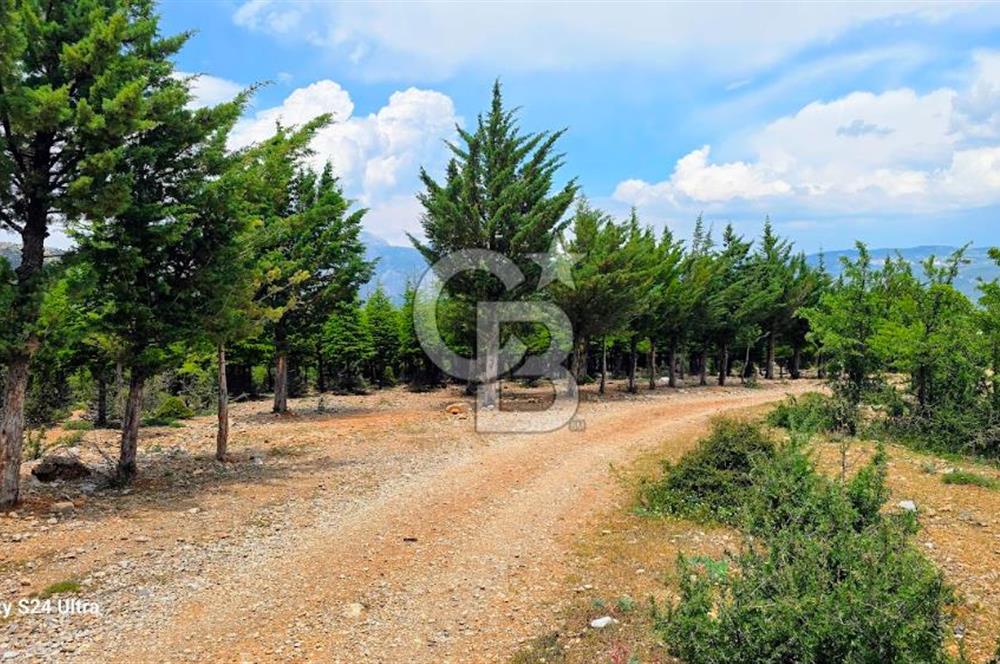 Serinhisar Şaireşref de 515 M² 2 Kat %40 İmarlı Satılık Arsa
