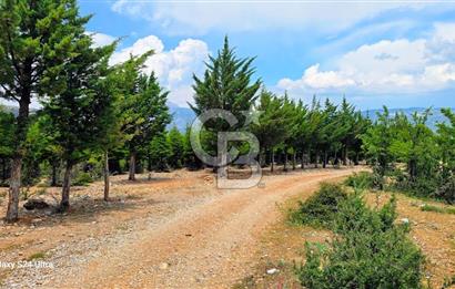 Serinhisar Şaireşref de 515 M² 2 Kat %40 İmarlı Satılık Arsa
