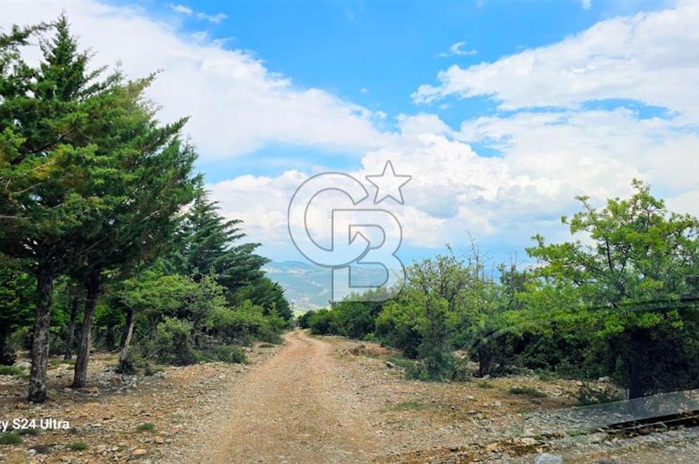 Serinhisar Şaireşref de 548 M² 2 Kat %40 İmarlı Satılık Arsa