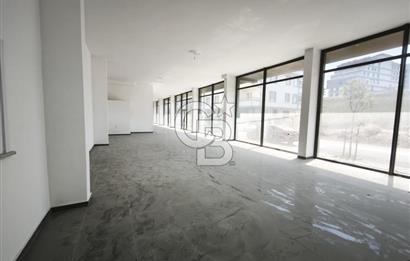 SATILIK ARNAVUTKÖY TAŞOLUK'TA 500 M² VİTRİNLİ DÜKKAN
