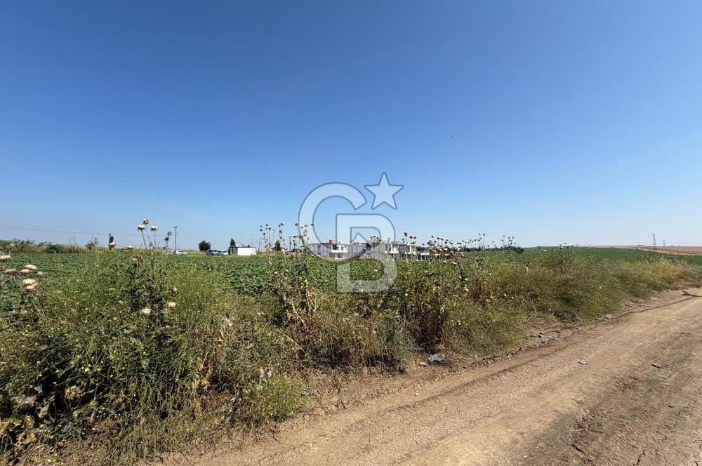 Tekirdağ Çorlu Yenice de 307 Metre İmarlı Müstakil Arsa