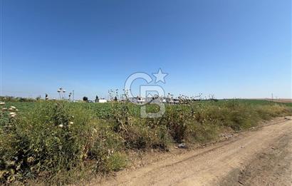 Tekirdağ Çorlu Yenice de 307 Metre İmarlı Müstakil Arsa