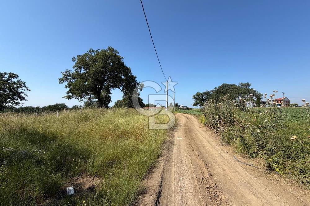 Tekirdağ Çorlu Yenice de 307 Metre İmarlı Müstakil Arsa