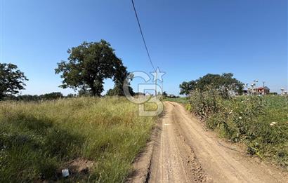 Tekirdağ Çorlu Yenice de 307 Metre İmarlı Müstakil Arsa