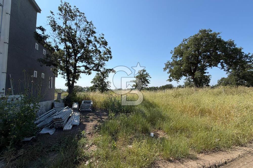 Tekirdağ Çorlu Yenice de 307 Metre İmarlı Müstakil Arsa