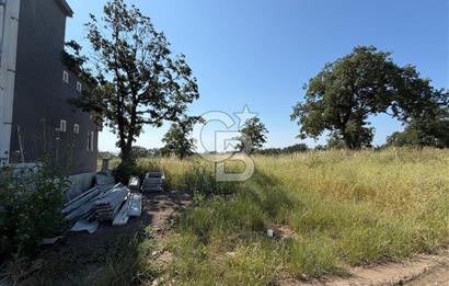 Tekirdağ Çorlu Yenice de 307 Metre İmarlı Müstakil Arsa