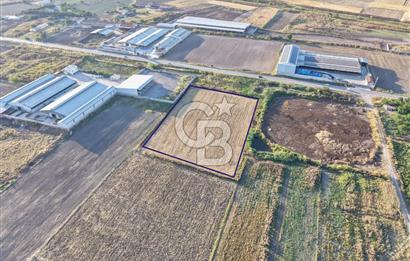 CB KİNG'DEN GÜMÜŞÇEŞME MAHALLESİ 7783 m² SATILIK TARLA