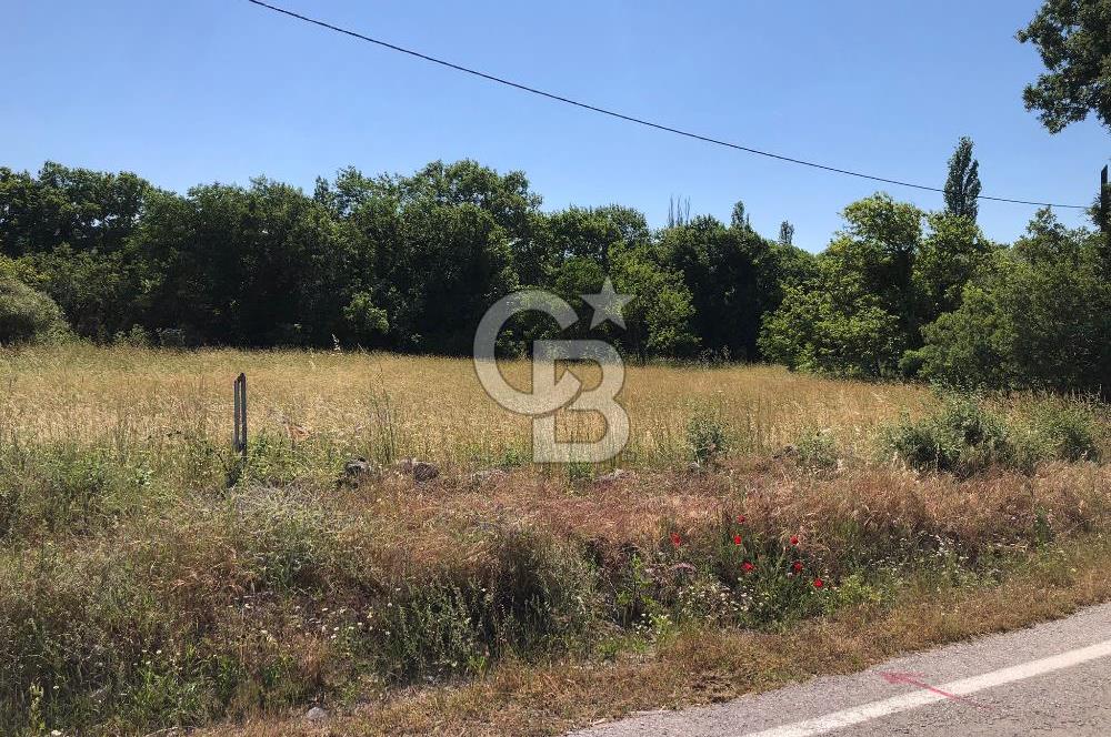 CB KİNG'DEN SOĞUCAK MAH. ANAYOLA CEPHE KONUMLU SATILIK ARSA