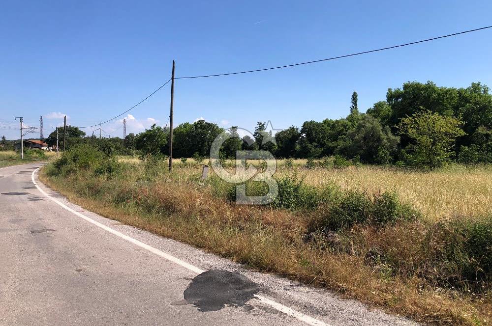 CB KİNG'DEN SOĞUCAK MAH. ANAYOLA CEPHE KONUMLU SATILIK ARSA
