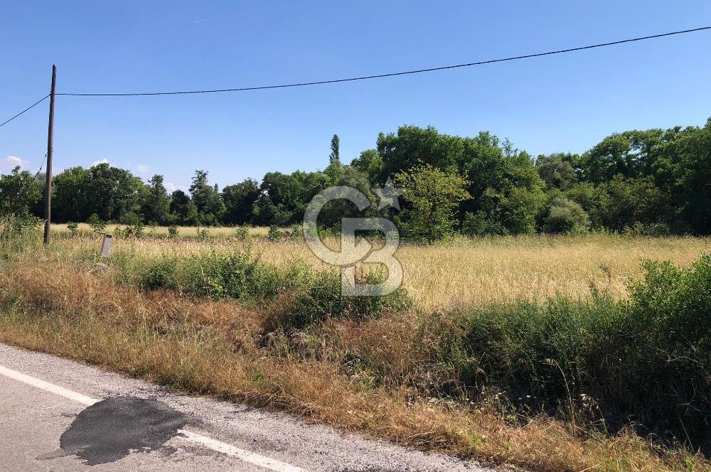 CB KİNG'DEN SOĞUCAK MAH. ANAYOLA CEPHE KONUMLU SATILIK ARSA