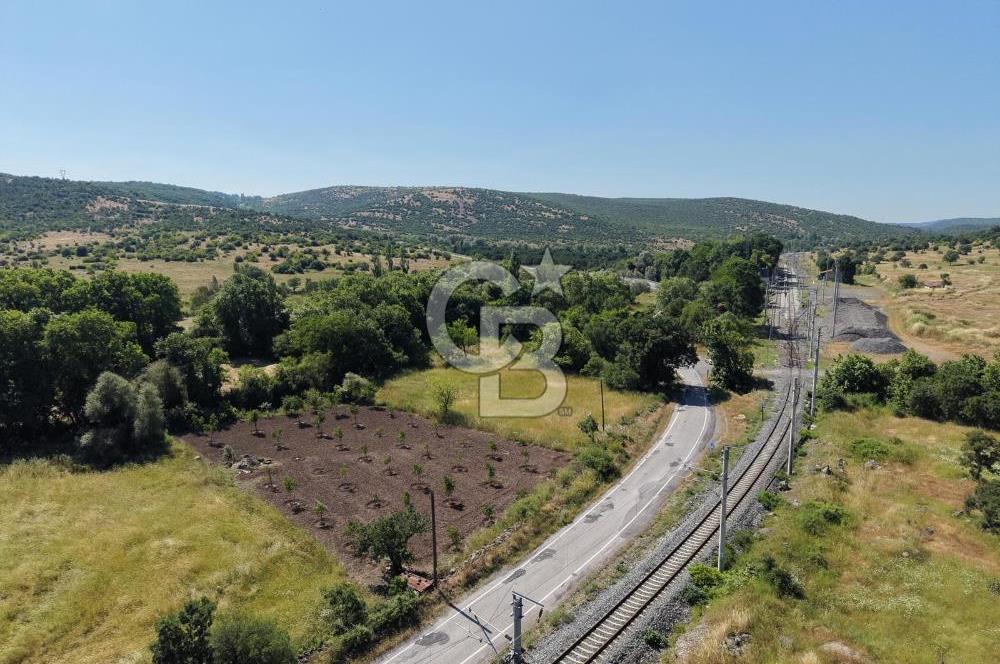 CB KİNG'DEN SOĞUCAK MAH. ANAYOLA CEPHE KONUMLU SATILIK ARSA