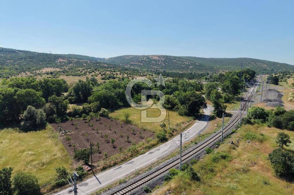 CB KİNG'DEN SOĞUCAK MAH. ANAYOLA CEPHE KONUMLU SATILIK ARSA