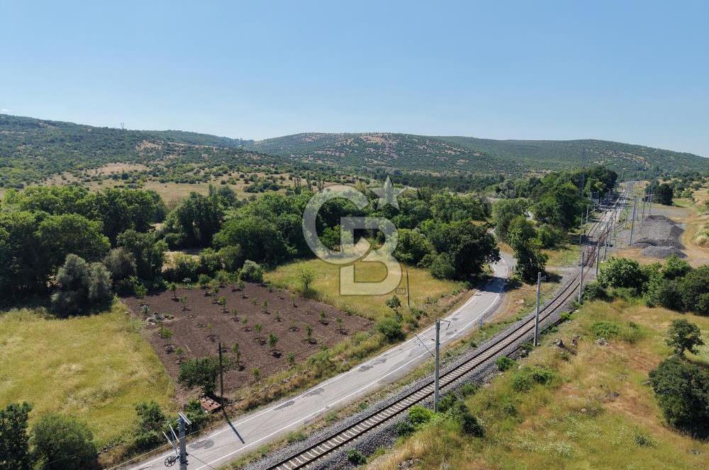 CB KİNG'DEN SOĞUCAK MAH. ANAYOLA CEPHE KONUMLU SATILIK ARSA