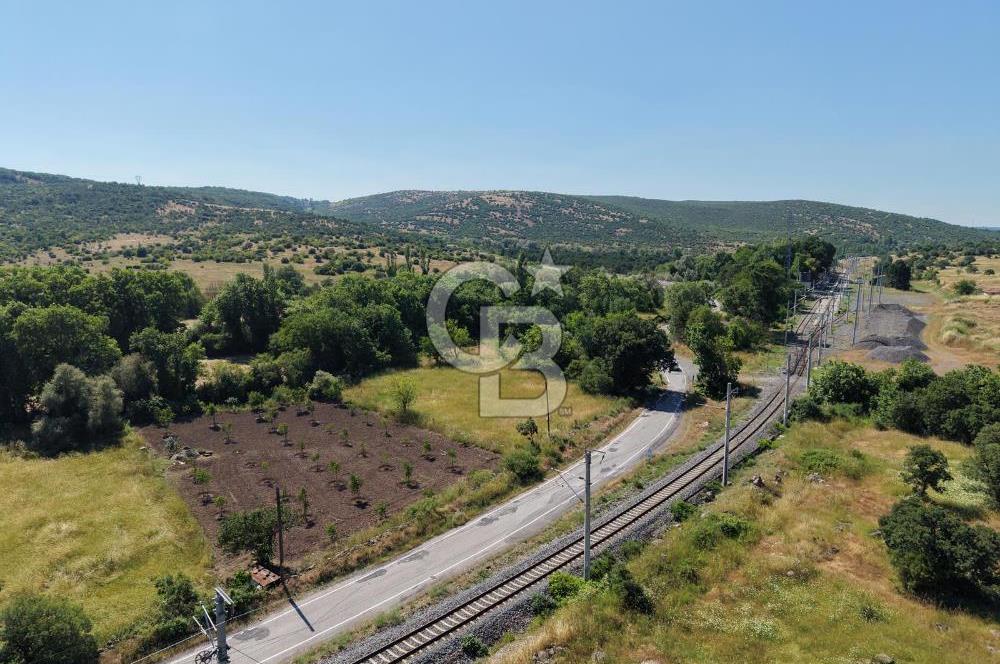 CB KİNG'DEN SOĞUCAK MAH. ANAYOLA CEPHE KONUMLU SATILIK ARSA