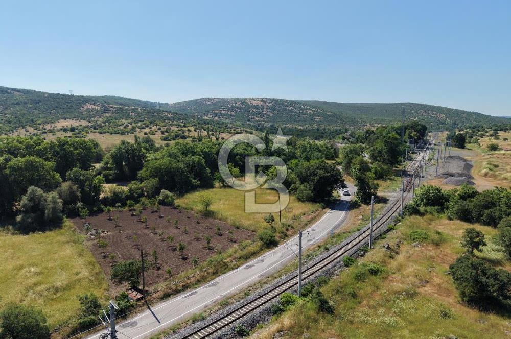 CB KİNG'DEN SOĞUCAK MAH. ANAYOLA CEPHE KONUMLU SATILIK ARSA