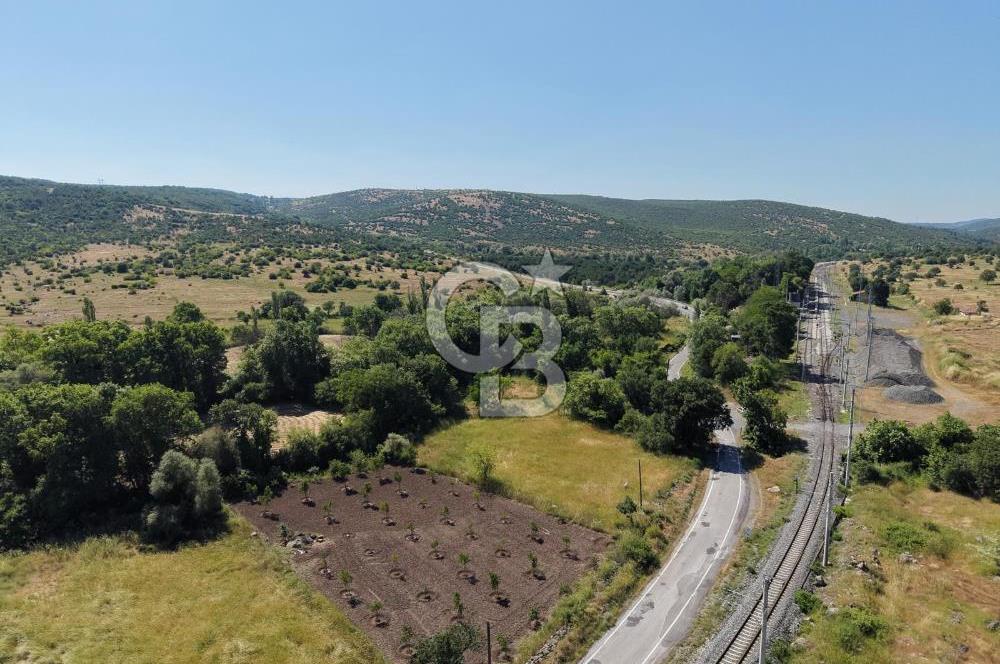 CB KİNG'DEN SOĞUCAK MAH. ANAYOLA CEPHE KONUMLU SATILIK ARSA