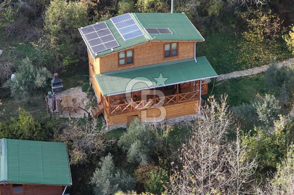 Uçmakdere 3 Adet Özel Bungolov Dağ Evi Doğa ile iç içe