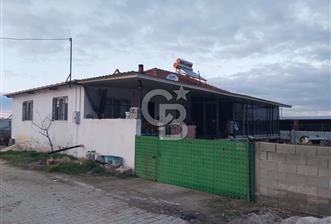 Dazkırı-Bozan Köyünde Satılık Konut, Besihane ve Müştemilatı - 10 - 343882