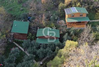 Uçmakdere 3 Adet Özel Bungolov Dağ Evi Doğa ile iç içe - 4 - 352429