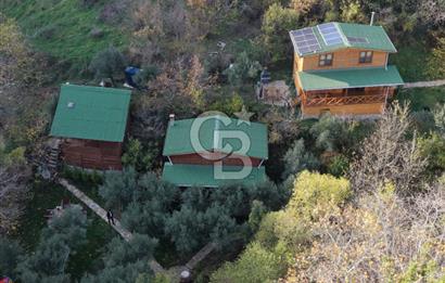 Uçmakdere 3 Adet Özel Bungolov Dağ Evi Doğa ile iç içe