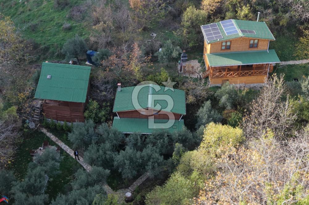 Uçmakdere 3 Adet Özel Bungolov Dağ Evi Doğa ile iç içe