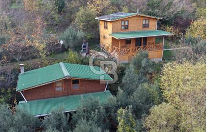 Uçmakdere 3 Adet Özel Bungolov Dağ Evi Doğa ile iç içe