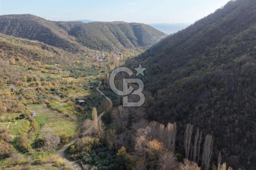 Uçmakdere 3 Adet Özel Bungolov Dağ Evi Doğa ile iç içe