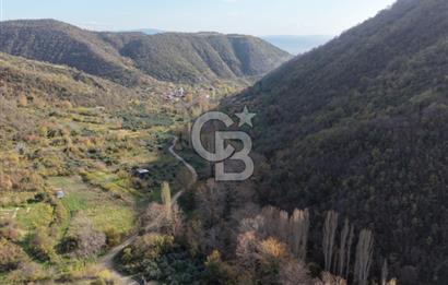 Uçmakdere 3 Adet Özel Bungolov Dağ Evi Doğa ile iç içe