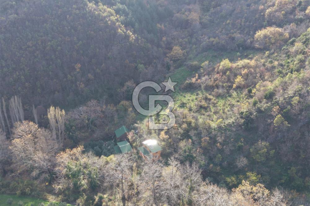 Uçmakdere 3 Adet Özel Bungolov Dağ Evi Doğa ile iç içe