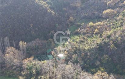 Uçmakdere 3 Adet Özel Bungolov Dağ Evi Doğa ile iç içe