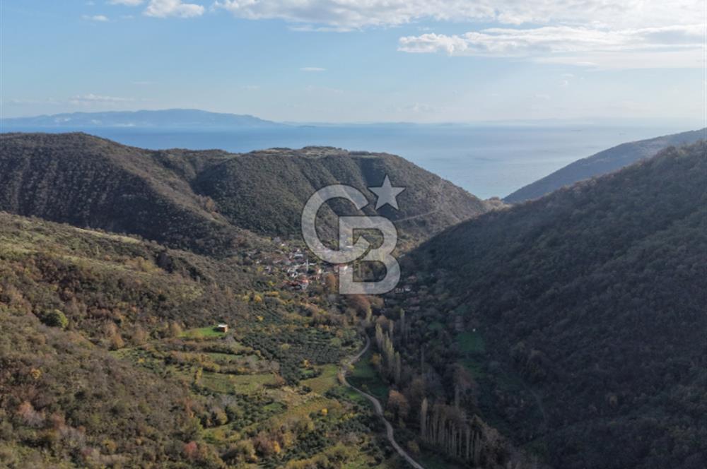 Uçmakdere 3 Adet Özel Bungolov Dağ Evi Doğa ile iç içe