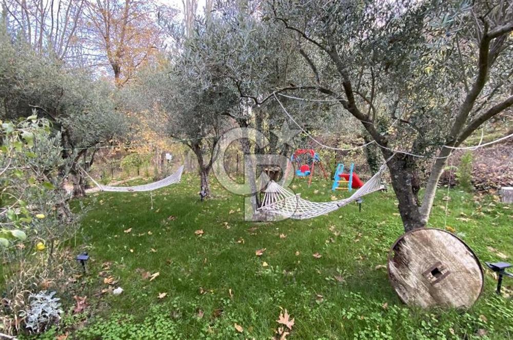 Uçmakdere 3 Adet Özel Bungolov Dağ Evi Doğa ile iç içe