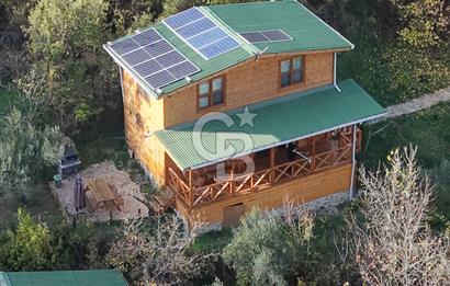 Uçmakdere 3 Adet Özel Bungolov Dağ Evi Doğa ile iç içe