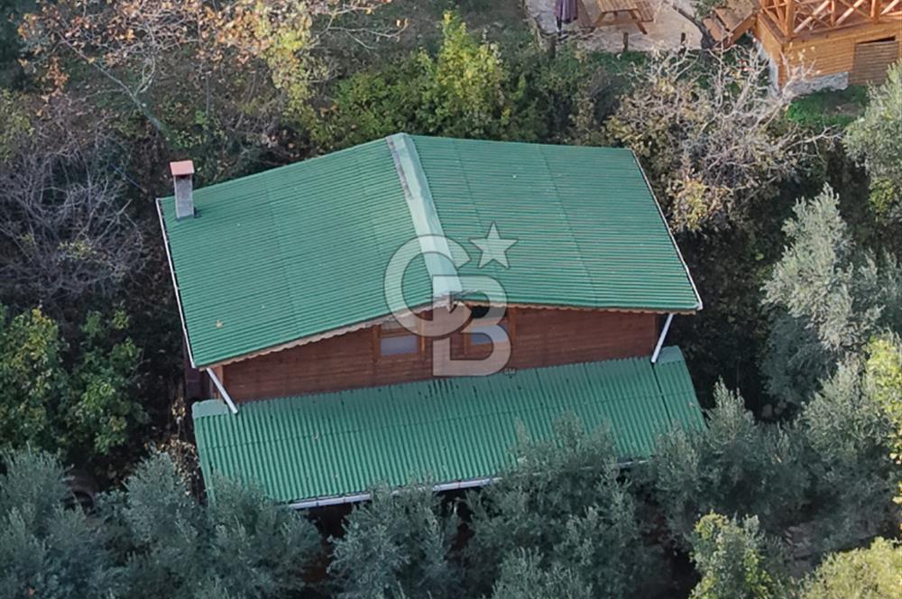 Uçmakdere 3 Adet Özel Bungolov Dağ Evi Doğa ile iç içe