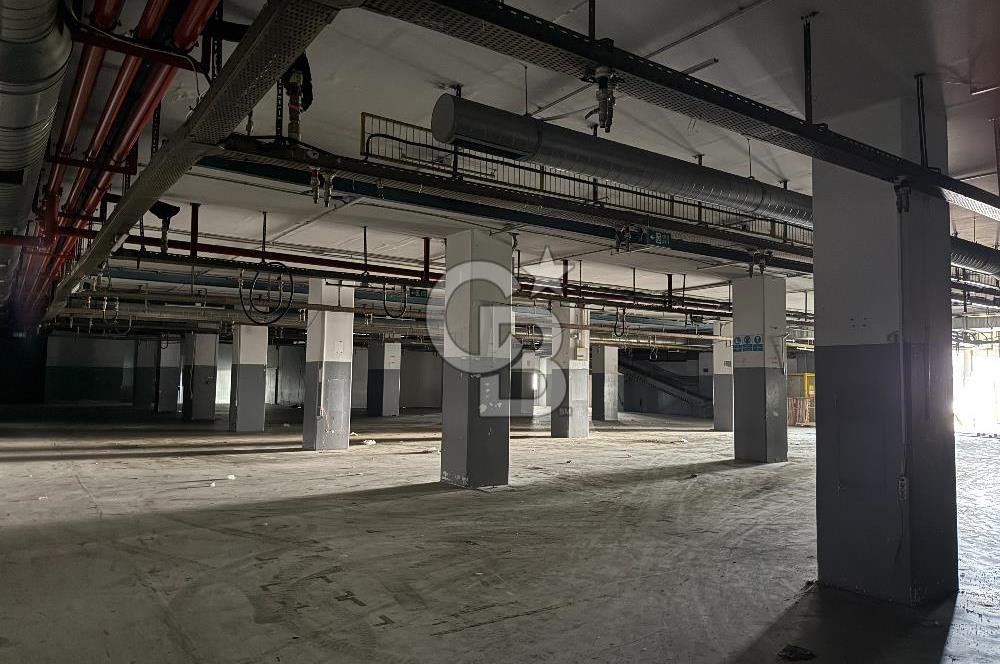 KİRALIK ARNAVUTKÖY TAŞOLUKTA TIR GİRİŞLİ SANAYİ TESİSİ