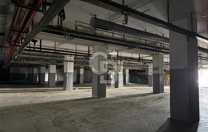 KİRALIK ARNAVUTKÖY TAŞOLUKTA TIR GİRİŞLİ SANAYİ TESİSİ