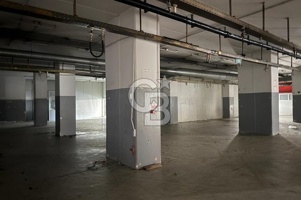 KİRALIK ARNAVUTKÖY TAŞOLUKTA TIR GİRİŞLİ SANAYİ TESİSİ