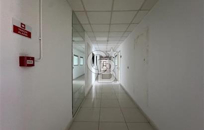 KİRALIK ARNAVUTKÖY TAŞOLUKTA 1600 KW ENERJİLİ 8.500 m² FABRİKA